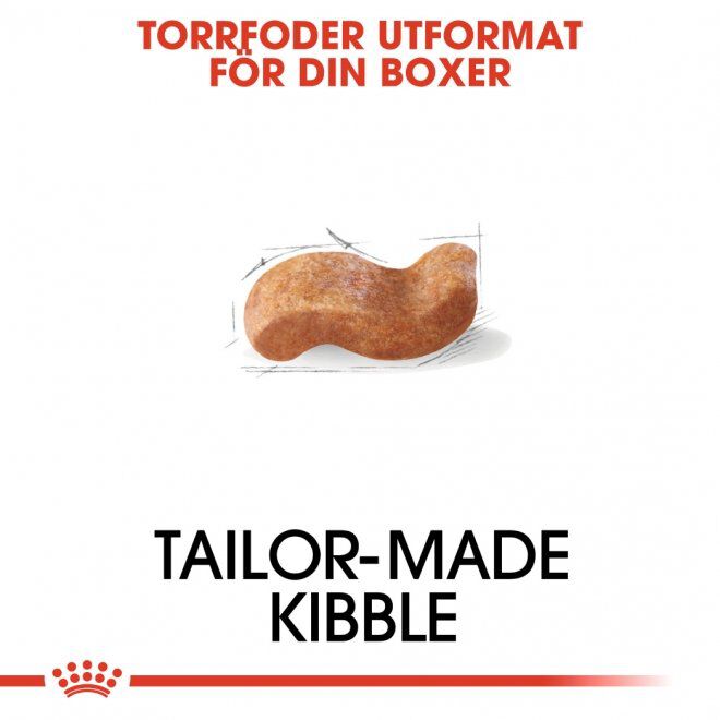 Royal Canin Boxer Adult torrfoder för hund