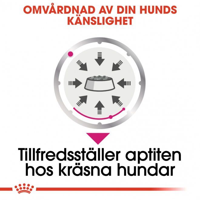 Royal Canin Exigent Adult våtfoder för hund