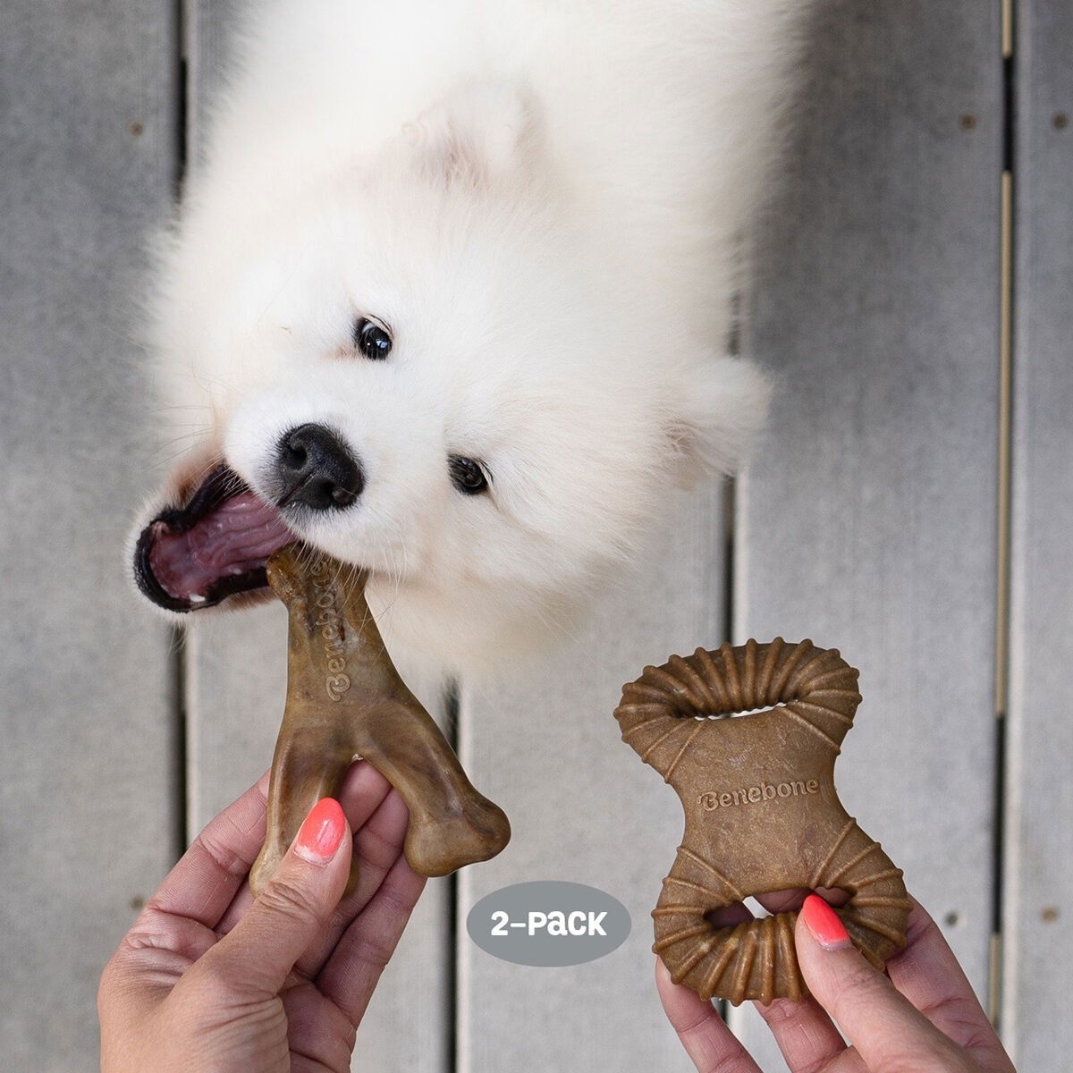 BB 2-Pack Dental Chew/Wishbone Bacon Tiny 