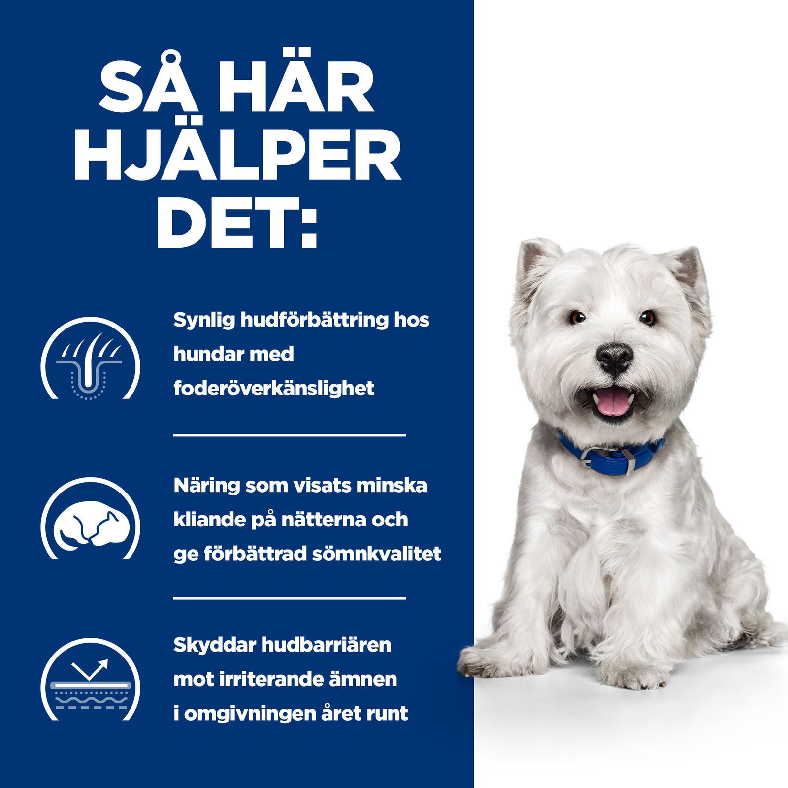 Hill's Diet Dog Derm Complete Mini