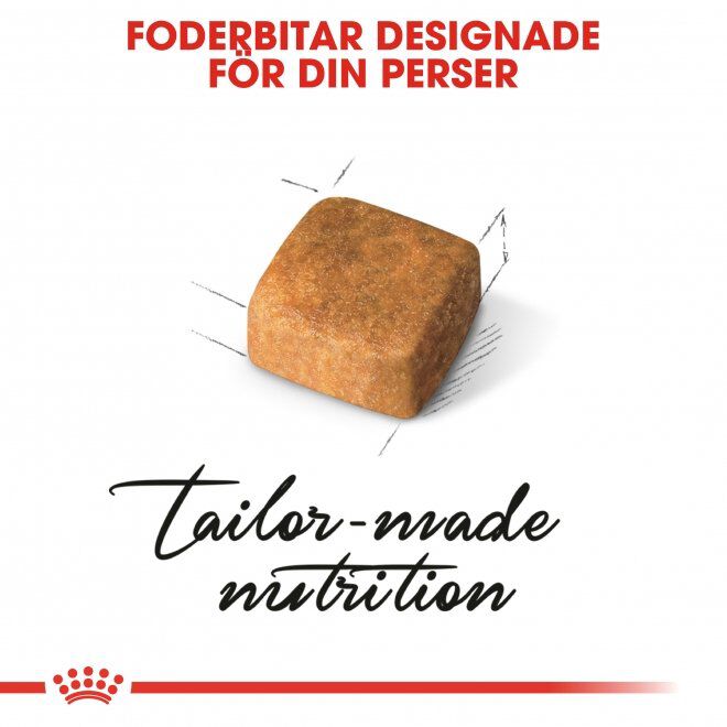 Royal Canin Persian Kitten torrfoder för kattunge
