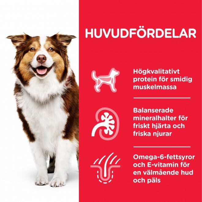 Hill's Science Plan Dog Mature 7+ Chicken